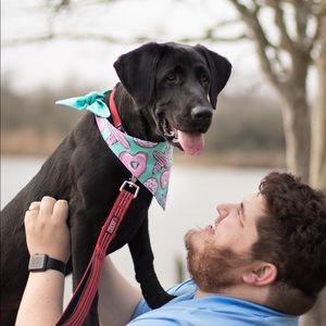 Meet your Posher, James